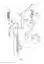 Fig. 03 - Extended reach garden shears