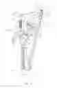 Fig. 05 - Extended reach garden shears