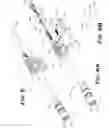 Fig. 06 - Quick coupling barrel system for firearm