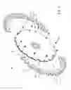 Fig. 06 - Circular saw blade with changeable blade strips