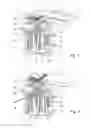 Fig. 02 - Apparatus and method for forming bundles composed of printed products