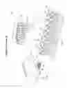 Fig. 22 - Sectional meter shut-off and agricultural implement having sectional meter shut-off