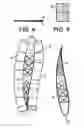 Fig. 04 - Set of stowable rigid sails