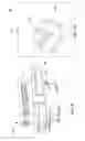 Fig. 10 - Burner illumination in an appliance
