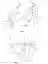 Fig. 02 - Device for guiding solar radiation