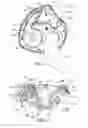 Fig. 03 - Dry powder inhalers