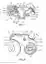 Fig. 05 - Dry powder inhalers