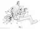 Fig. 02 - Support harness