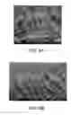 Fig. 08 - SOLAR CELL AND METHOD FOR FABRICATING THE SAME