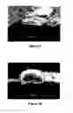 Fig. 07 - Metal adhesion