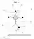 Fig. 02 - Method of electrochemically detecting a sample substance
