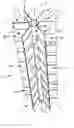 Fig. 01 - Method for forming a membrane holder and membrane holder thus formed