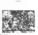 Fig. 02 - Inorganic membranes and method of making