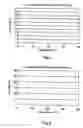 Fig. 02 - Method for fabrication of elastomeric asymmetric membranes from hydrophobic polymers