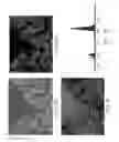Fig. 08 - METHODS FOR THE FABRICATION OF NANOSTRUCTURES HEATING ELEMENTS