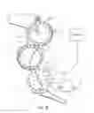 Fig. 08 - Methods and systems for inspection and/or identification of pellet-shaped articles