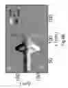 Fig. 08 - ION ACCELERATION METHOD, ION ACCELERATION APPARATUS, ION BEAM IRRADIATION APPARATUS, AND ION BEAM IRRADIATION APPARATUS FOR MEDICAL USE