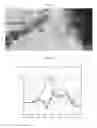 Fig. 03 - Electrode composite