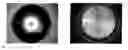 Fig. 01 - Electrical contact material of silver matrix capable of resisting arc erosion and containing no cadmium-composite