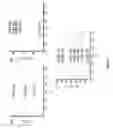 Fig. 14 - PRECISION QUANTUM DOT CLUSTERS