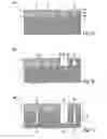 Fig. 02 - Method for producing MEMS structures, and MEMS structure