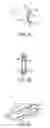 Fig. 26 - Multi-functional collapsible wheeled apparatus