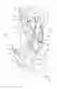 Fig. 02 - Saddle-ride type vehicle