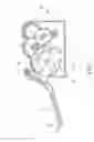 Fig. 06 - Pedal power generating device