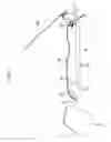 Fig. 08 - Package tray assembly for trunk of vehicle