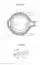 Fig. 08 - Armrest device