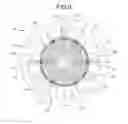 Fig. 07 - MAGNET EMBEDDED ROTOR, ELECTRIC MOTOR, AND ASSEMBLY METHOD OF ELECTRIC MOTOR