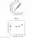 Fig. 09 - ACTUATOR AND ACTUATOR MANUFACTURING METHOD