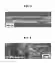 Fig. 05 - Flexible nanocomposite generator and method for manufacturing the same