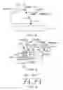 Fig. 03 - BOOSTER CIRCUIT AND VOLTAGE SUPPLY CIRCUIT