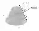 Fig. 04 - Active electronically scanned array antenna for hemispherical scan coverage