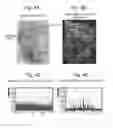 Fig. 04 - Method and system for processing mass analysis data