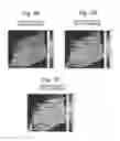 Fig. 07 - Method and system for processing mass analysis data