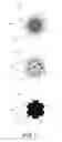 Fig. 03 - Method for tuning color of a display region and apparatus thereof