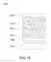 Fig. 13 - Method for tuning color of a display region and apparatus thereof