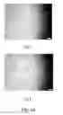 Fig. 33 - Method for tuning color of a display region and apparatus thereof