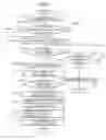 Fig. 08 - SERVER, CLIENT, IMAGE ACQUISITION METHOD