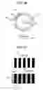 Fig. 26 - Position detecting device, liquid ejecting apparatus and method of detecting smear of scale