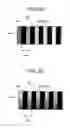 Fig. 34 - Position detecting device, liquid ejecting apparatus and method of detecting smear of scale