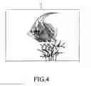 Fig. 05 - IMAGING DEVICE, IMAGING SYSTEM, AND IMAGING METHOD