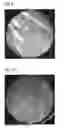 Fig. 10 - Optical inspection system and method