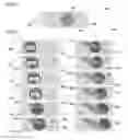 Fig. 02 - Image processing devices and image processing methods of moving objects