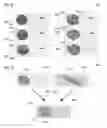 Fig. 06 - Image processing devices and image processing methods of moving objects
