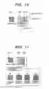 Fig. 10 - Inspection method and inspection apparatus