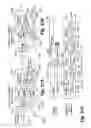 Fig. 16 - Methods for employing stroboscopic signal amplification and surface enhanced raman spectroscopy for enhanced trace chemical detection