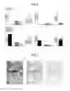 Fig. 07 - Image processing apparatus, image processing method, and non-transitory computer-readable medium